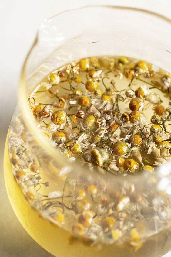 Why should you drink Chamomile tea?